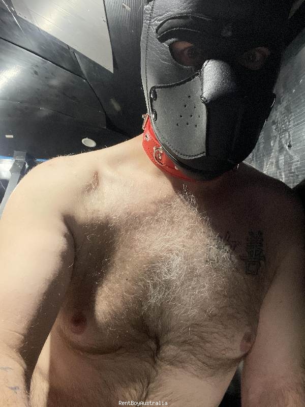 Timothy.James Gay Escort Melbourne 0449075400 BoyLtd.com